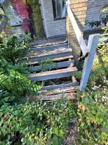 17257 bloom (16)_edited.jpg